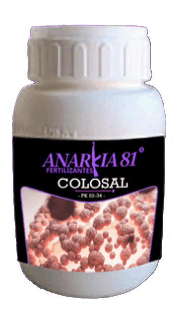 COLOSAL Anarkia81 — 1 kg