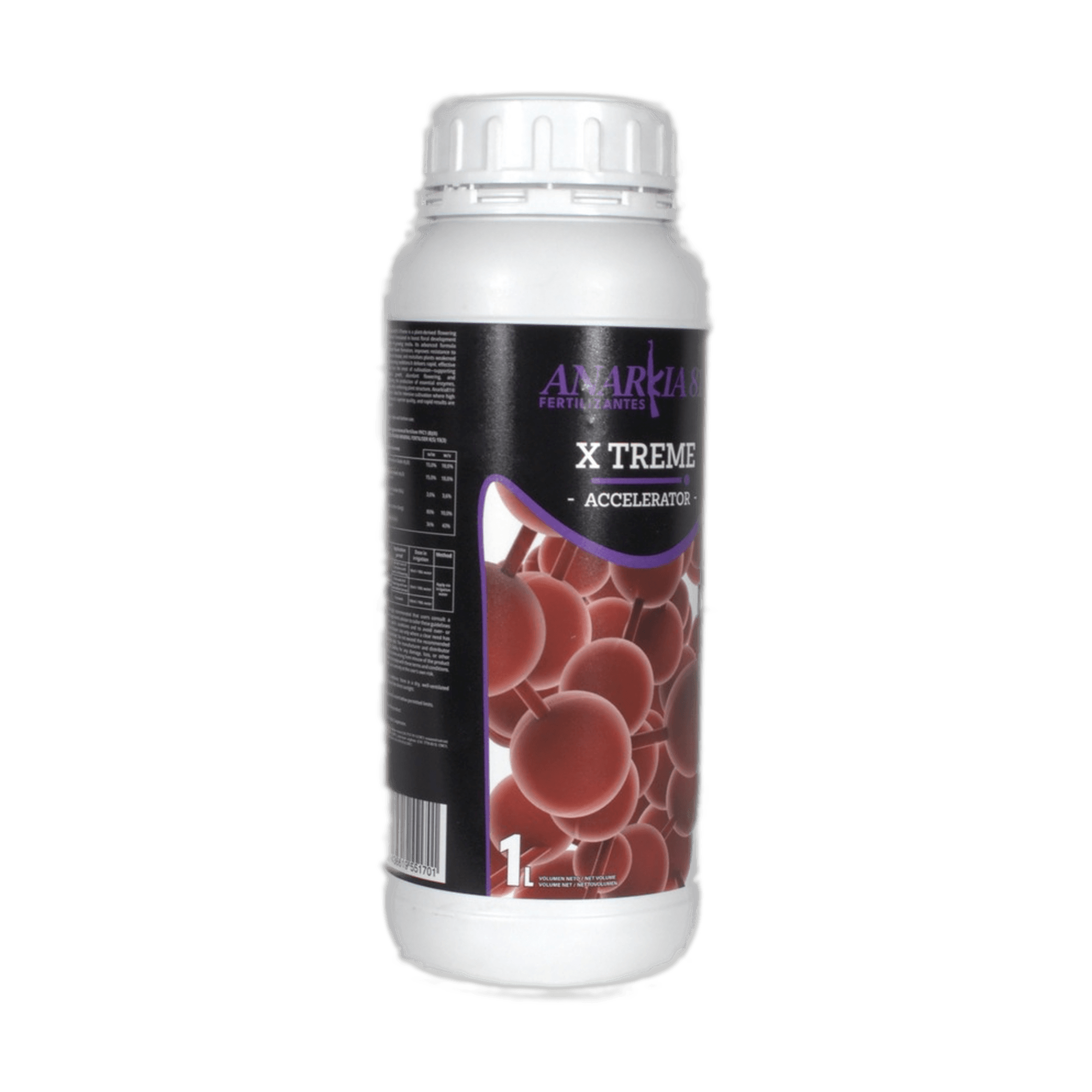 X TREME Anarkia81 — 1 L 3