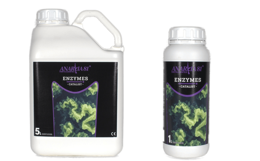 ENZYMES Anarkia81 — 1 L