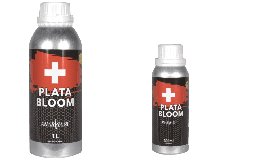 PLATA BLOOM Anarkia81 — 300 ml