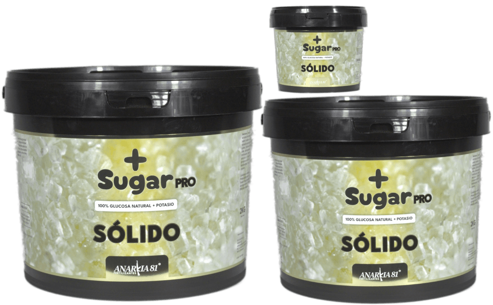 + SUGAR PRO FEST — 4 kg