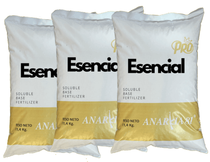 ESENCIAL Anarkia81 — 4,53 kg 2