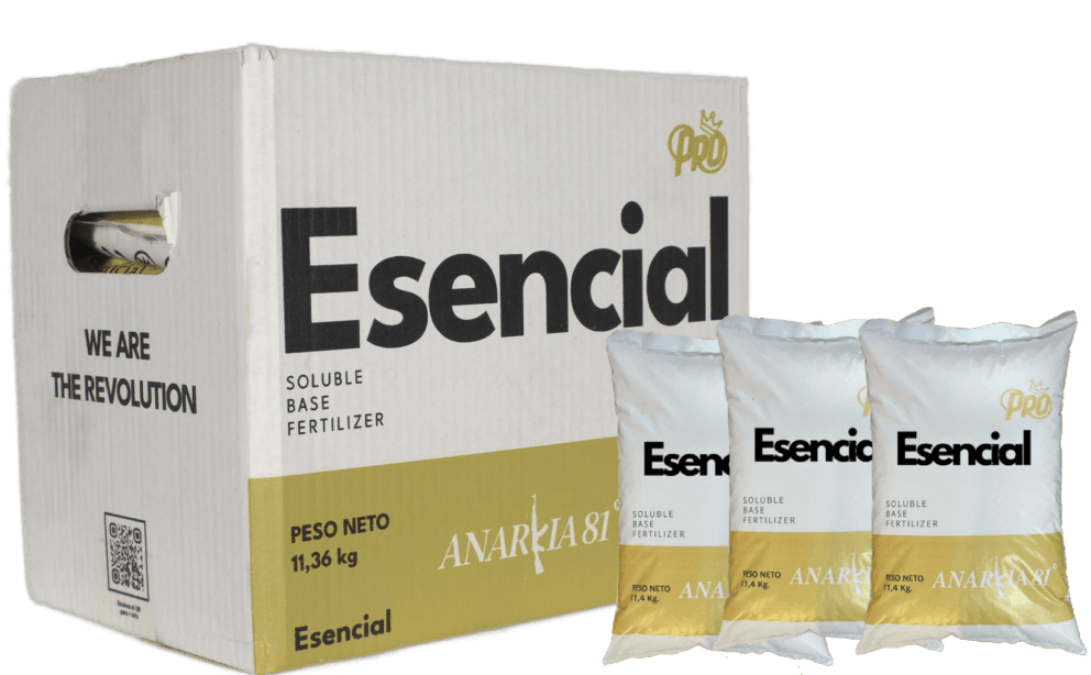 ESENCIAL Anarkia81 — 11,36 kg