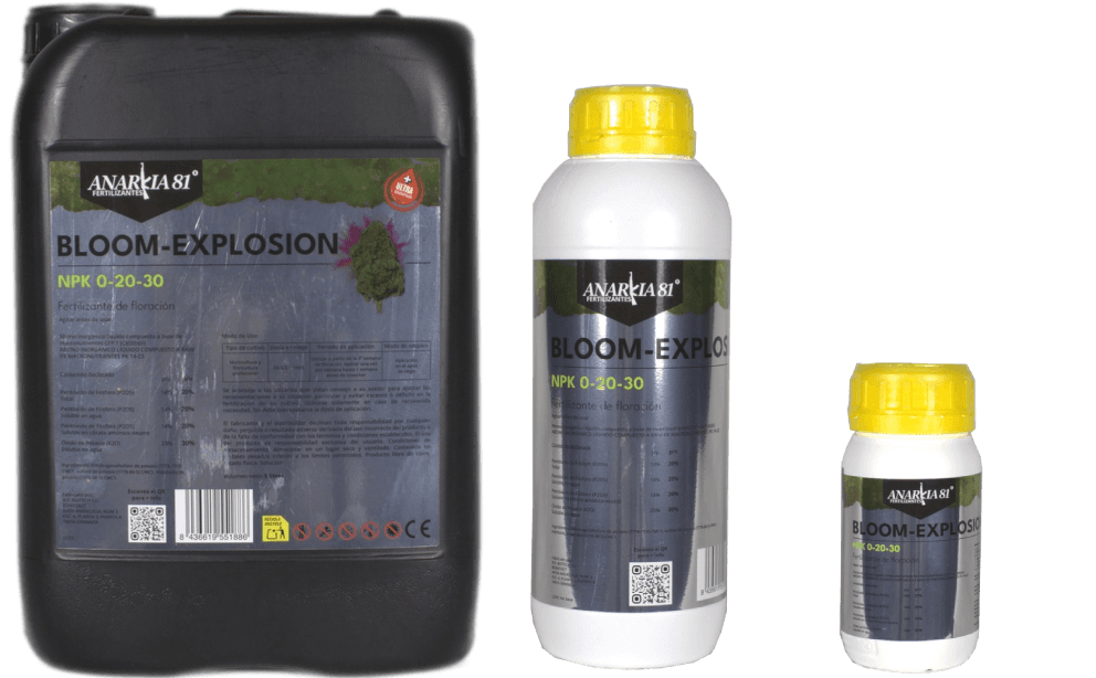 BLOOM-EXPLOSION Anarkia81 — 250 ml