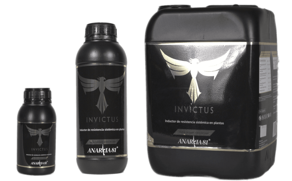 INVICTUS Anarkia81 — 500 ml