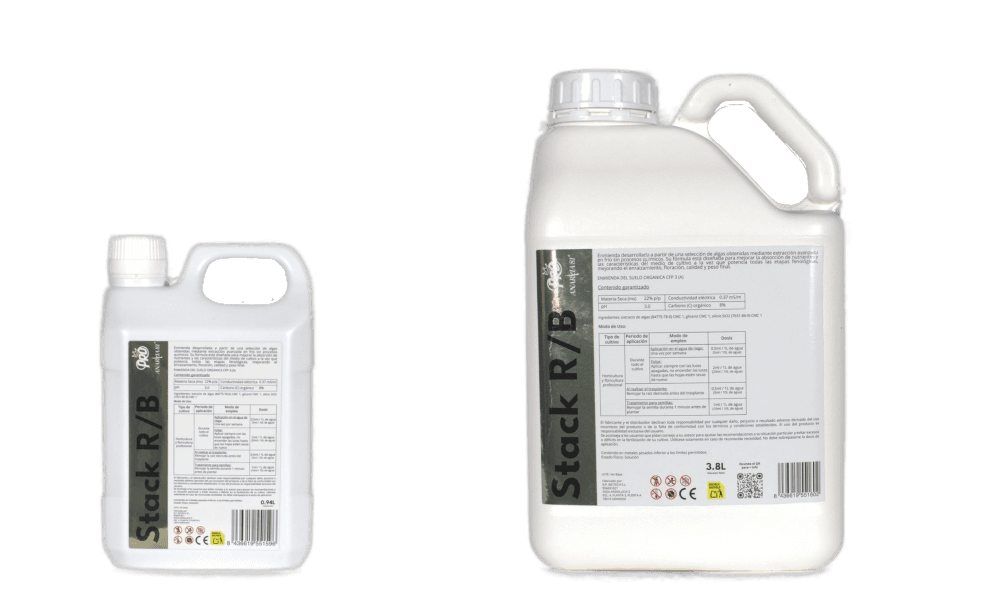 R B Anarkia81 — 1 L