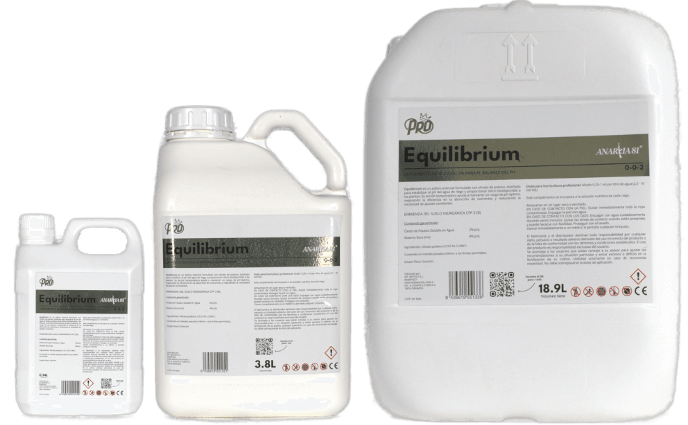 EQUILIBRIUM — 1 L